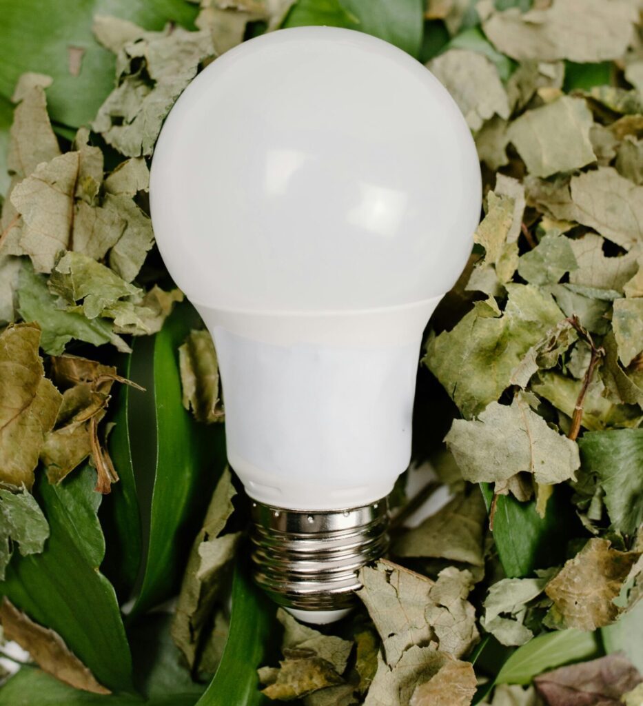 Modern LED fényforrás zöld növények között, jelképezve a TEMA környezetbarát és energiatakarékos villanyszerelési megoldásait.